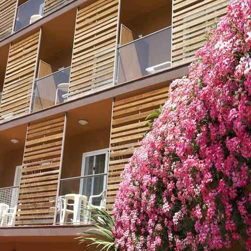 Exteriores  ALEGRIA Plaza Paris Lloret de mar