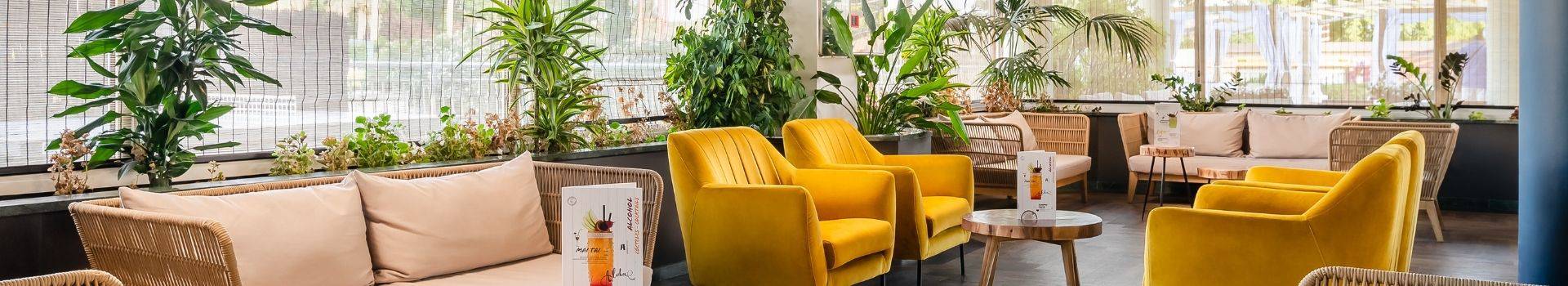 Alegria Hotels - - Alegria Hotels - -