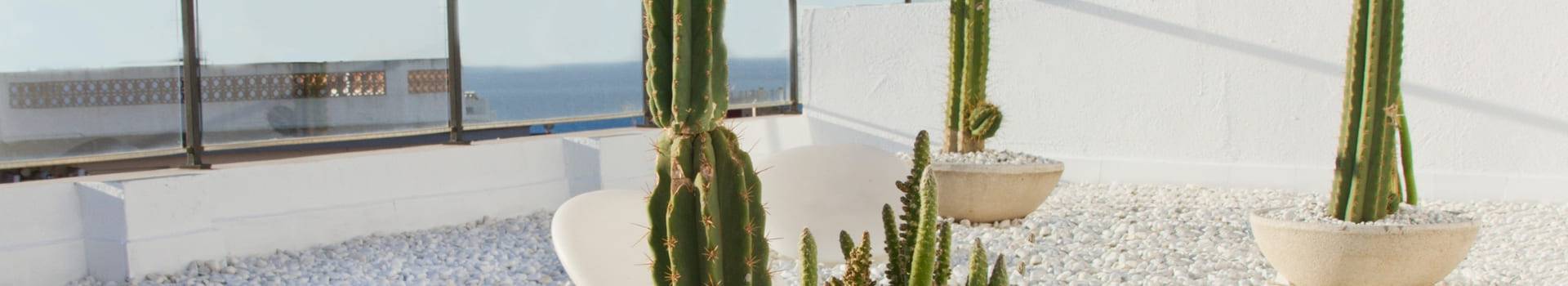 Alegria Hotels - Lloret de mar - Alegria Hotels - Lloret de mar -